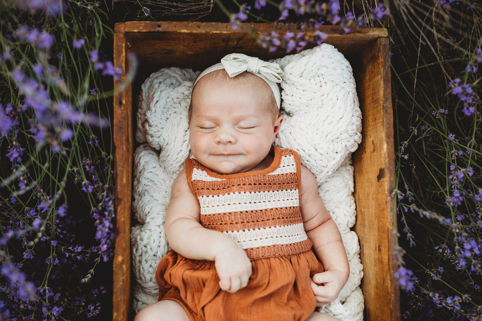 An infant girl in a brown dress sleeps in a wooden box surrounded by purple flowers after a 3D Ultrasound Harrisonburg, VA