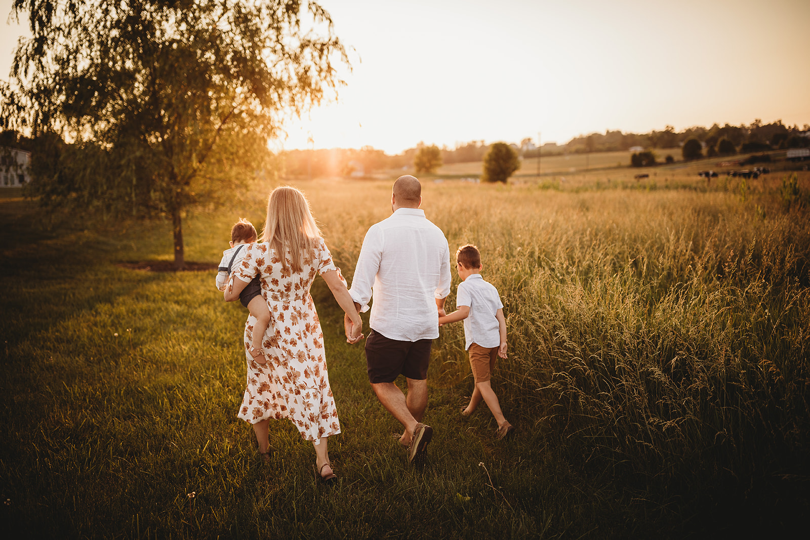 A mom and dad hold hands while exploring a pasture at susnet with their toddler sons thanks to Parenting Classes in Harrisonburg, VA