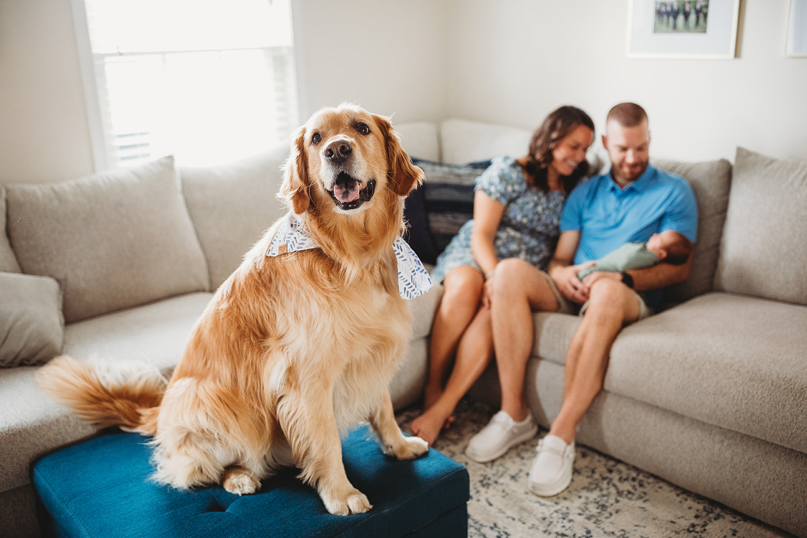 A golden retriever sits on an ottoman while mom and dad snuggle their newborn baby behind it on the couch thanks to Virginia Fertility and IVF