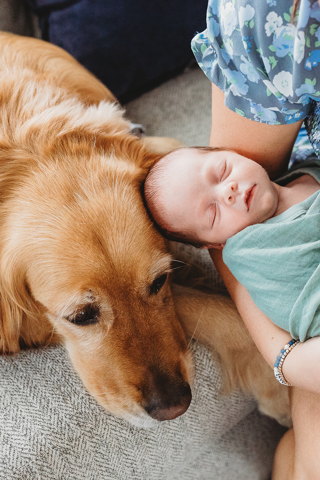 A newborn baby sleeps in moms arms against a golden retriever thanks to Virginia Fertility and IVF