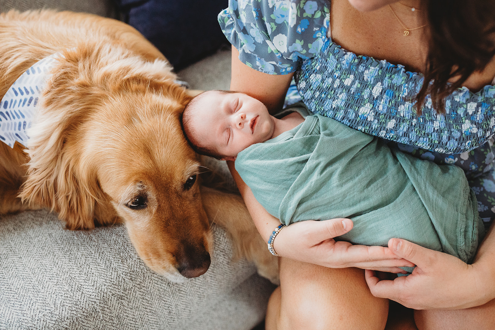 A newborn baby sleeps against a golden retriever on a couch in mom's lap after visiting a Chiropractor In Harrisonburg, VA